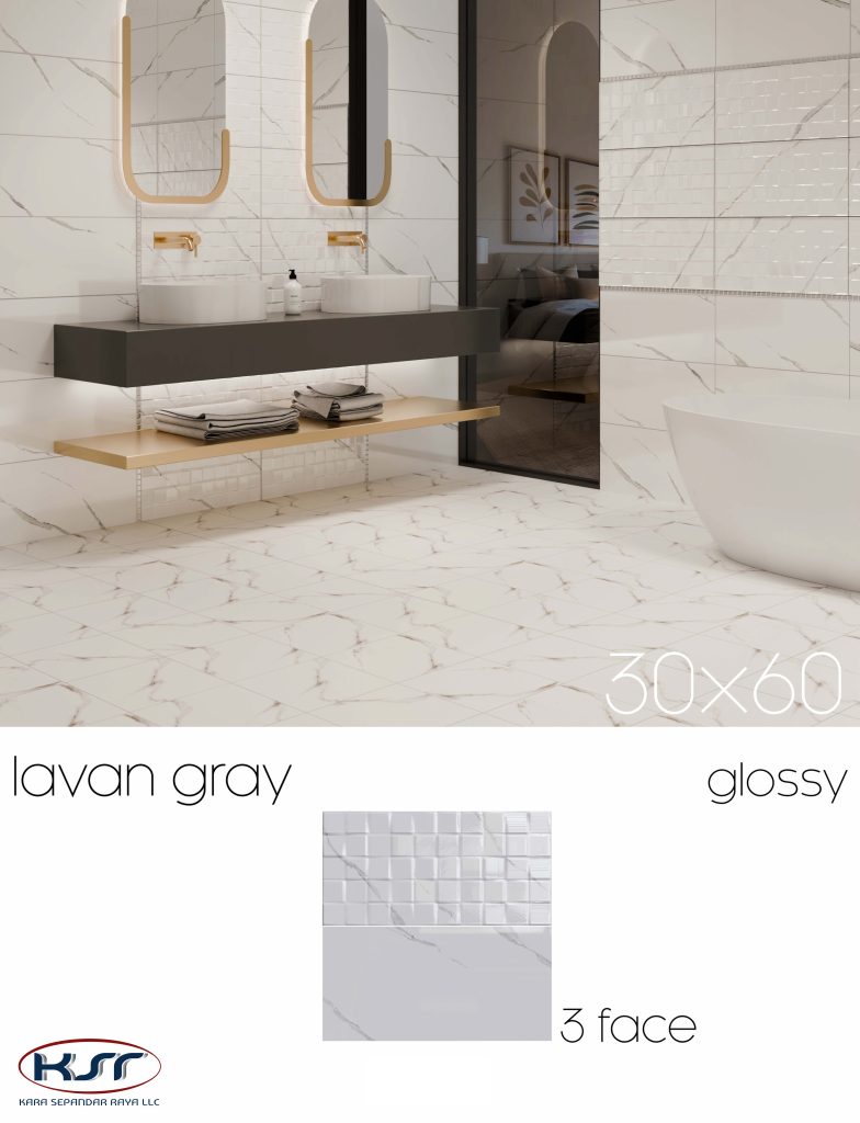 کاشی و سرامیک 60*30|کارا سپندار رایا-4