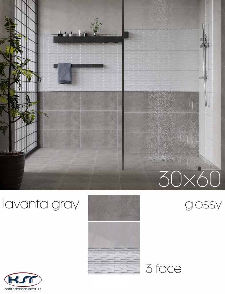 کاشی و سرامیک 60*30|کارا سپندار رایا-6