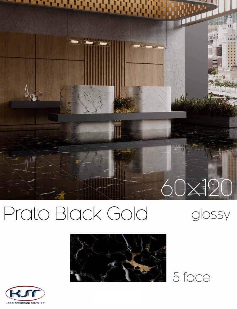 کاشی و سرامیک 120*60|کارا سپندار رایا-4