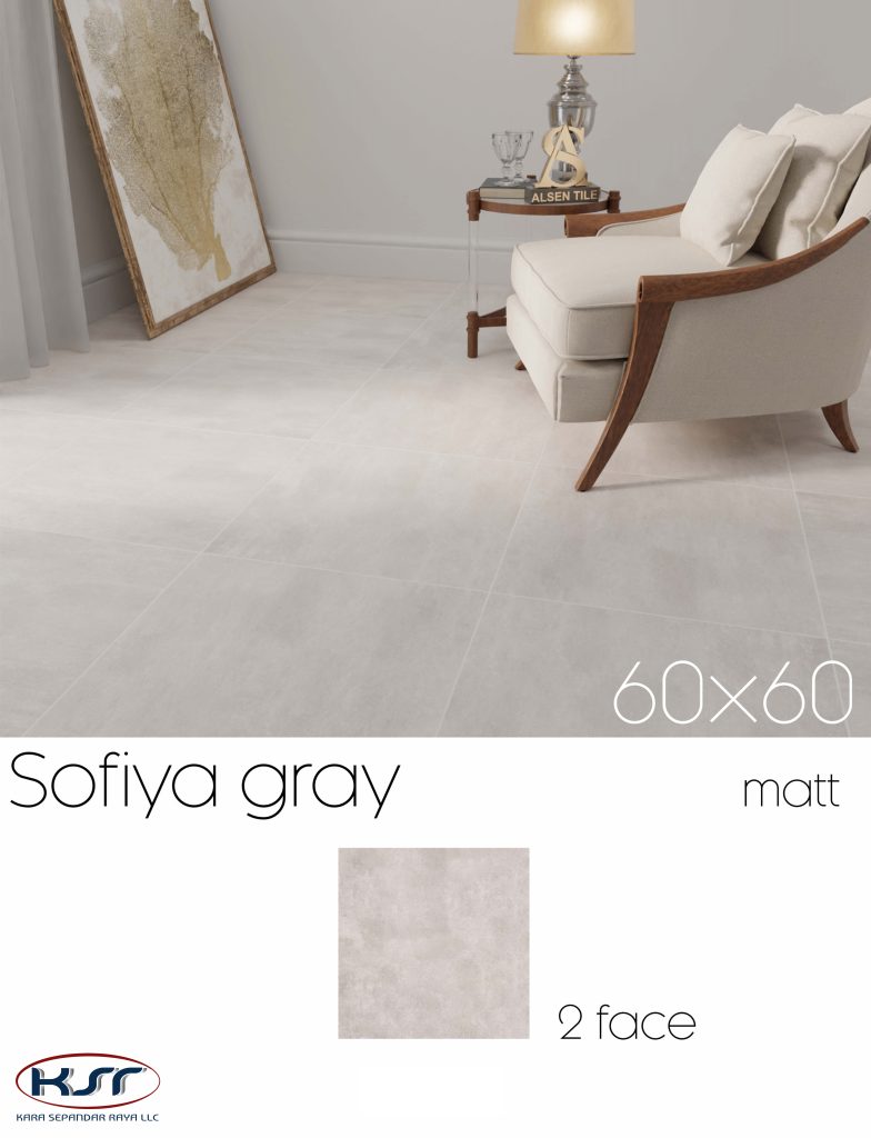 کاشی و سرامیک 60*60|کارا سپندار رایا-1