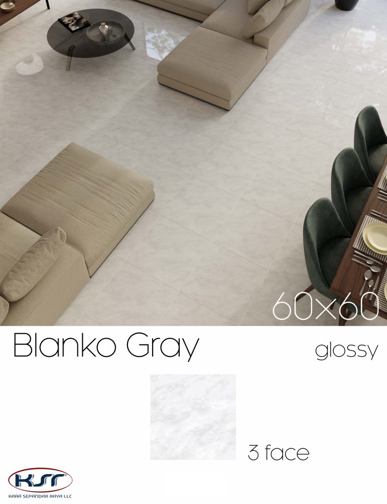 کاشی و سرامیک 60*60|کارا سپندار رایا-5